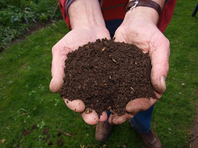 FDN LIFE MAGAZINE - ISSUE 4 - TOP 10 FUN DIY TIPS AND IDEAS WITH SPENT GRAIN - COMPOST
