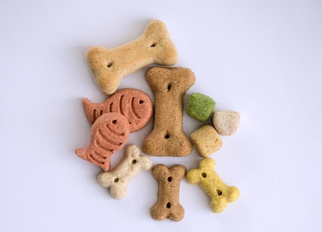FDN LIFE MAGAZINE - ISSUE 4 - TOP 10 FUN DIY TIPS AND IDEAS WITH SPENT GRAIN - DOG TREATS